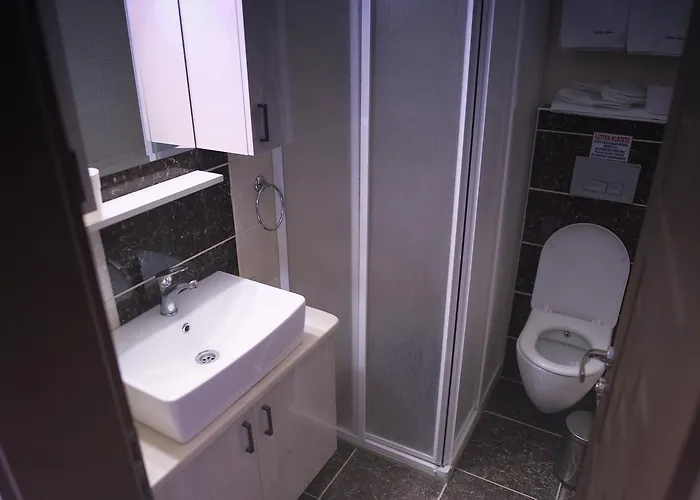 Golden Stone Butik 호텔 3*